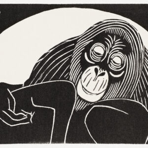 Orangutan (Orangoetan) Printable