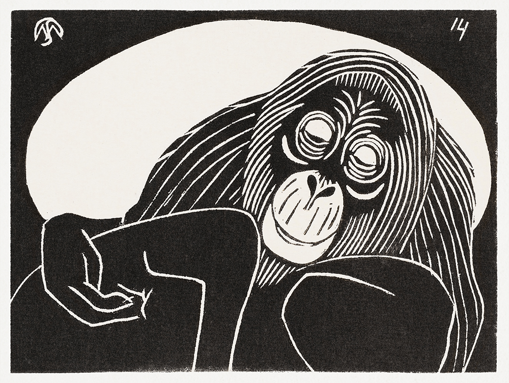 Orangutan (Orangoetan) Printable